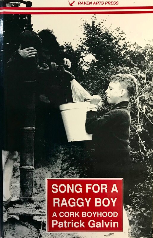 Song of a Raggy Boy: a Cork Boyhood, 1991